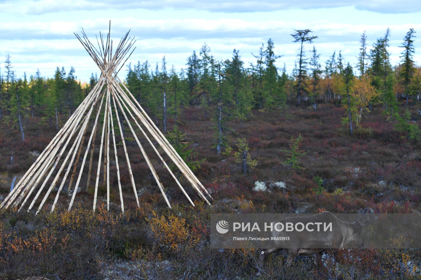 Регионы России. Ямало-Ненецкий автономный округ