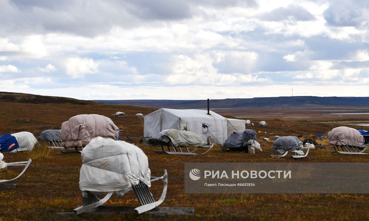 Регионы России. Ямало-Ненецкий автономный округ