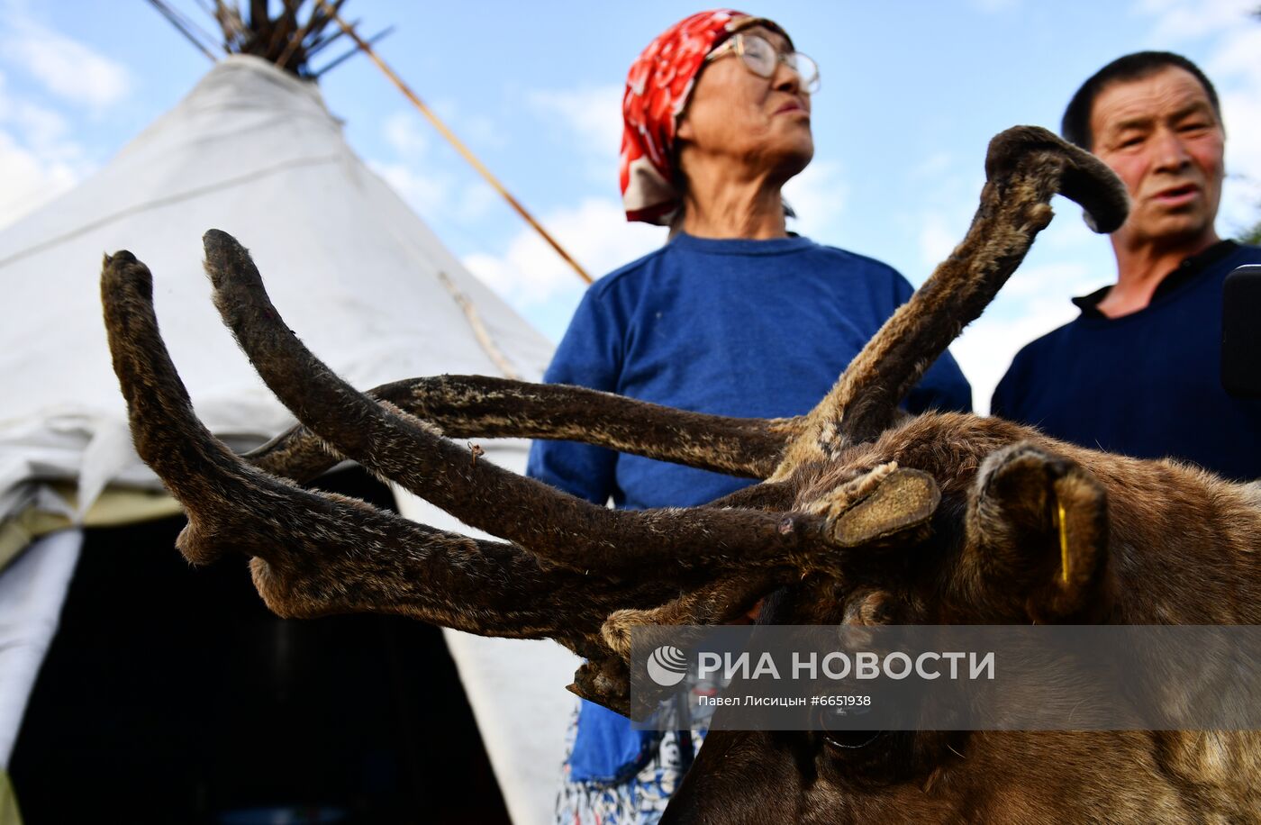 Коренные народности Ямала