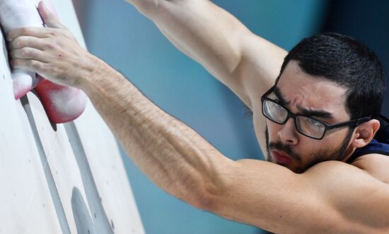 Скалолазание. Чемпионат мира. Скорость