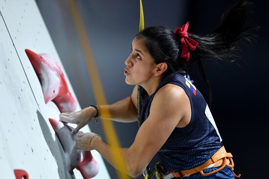 Скалолазание. Чемпионат мира. Скорость