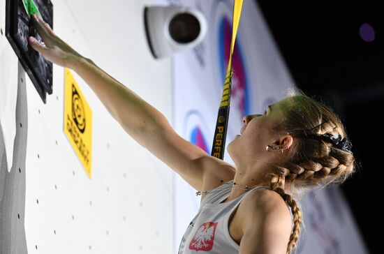 Скалолазание. Чемпионат мира. Скорость