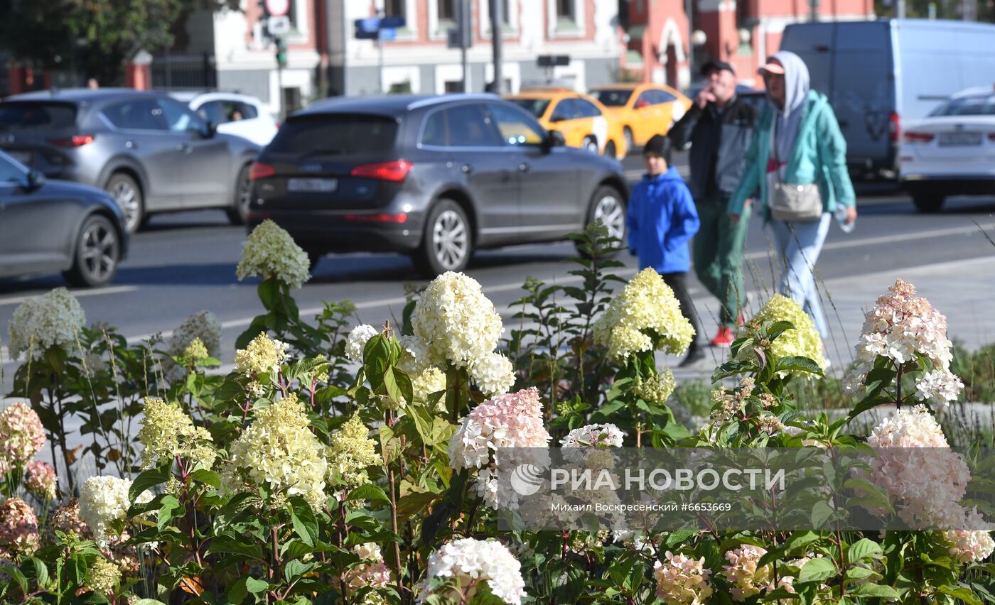 В Москве открыли часть нового парка на Павелецкой площади