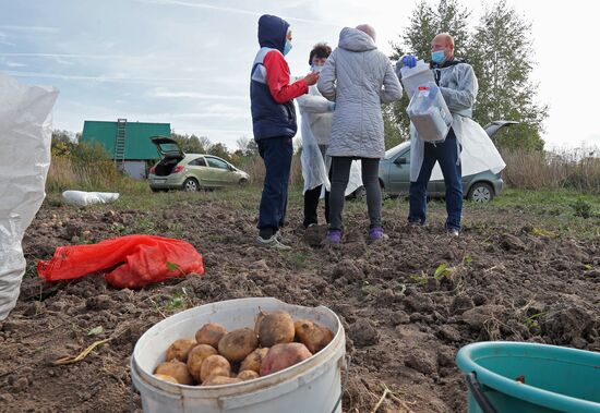 Выборы депутатов Госдумы, законодательных органов и глав субъектов федерации в России