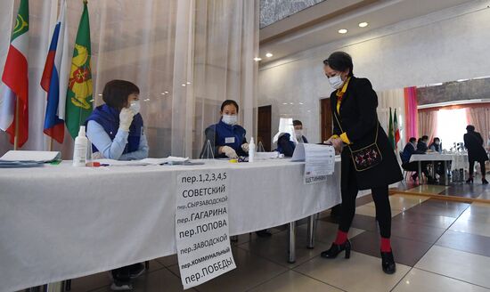 Выборы депутатов Госдумы, законодательных органов и глав субъектов федерации в России