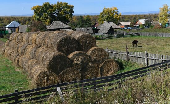 Регионы России. Хакасия