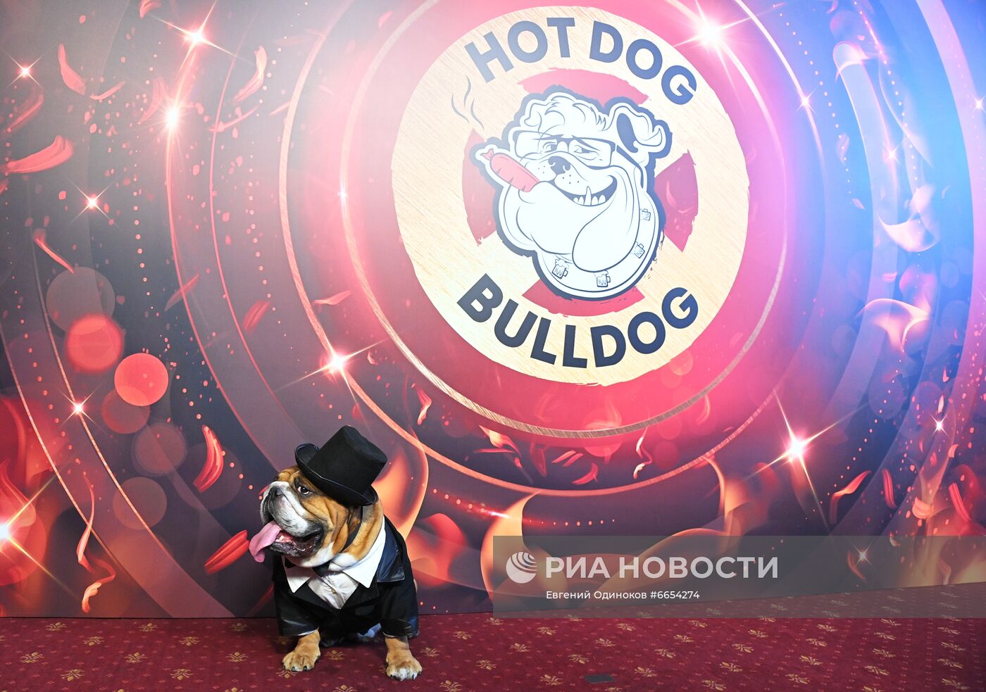 Открытие сети ресторанов Гарика Харламова "Hot Dog Bulldog"