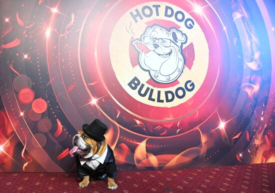 Открытие сети ресторанов Гарика Харламова "Hot Dog Bulldog"