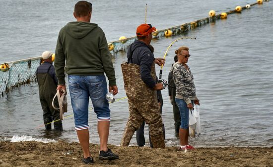 Рыбная ловля на острове Сахалин