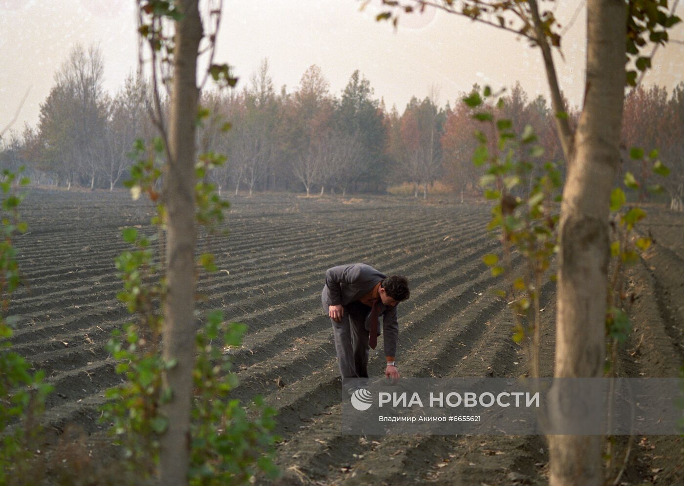 Лесное хозяйство Ферганской области