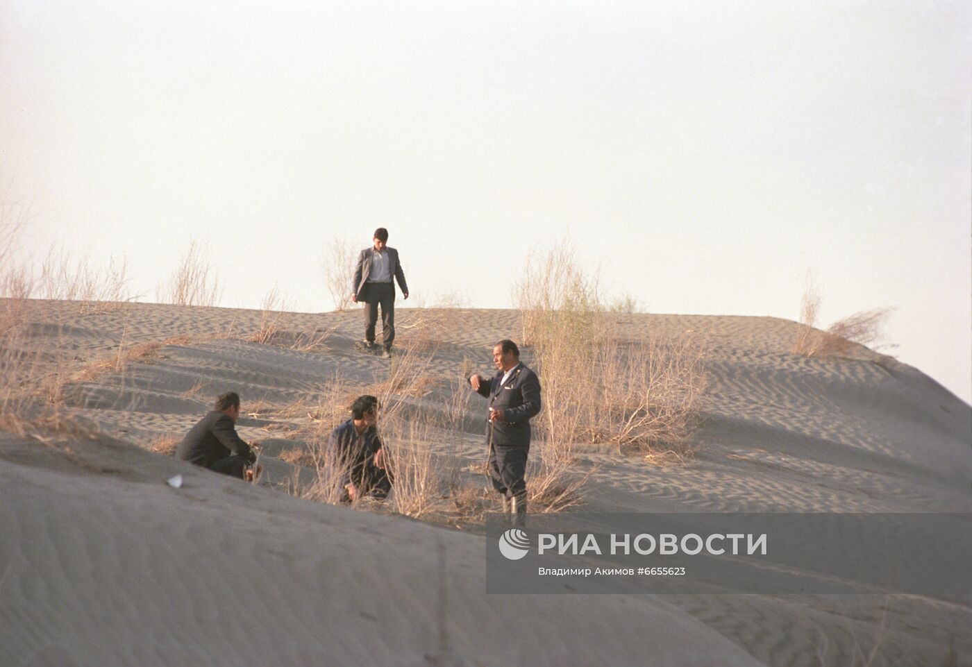 Лесное хозяйство Ферганской области