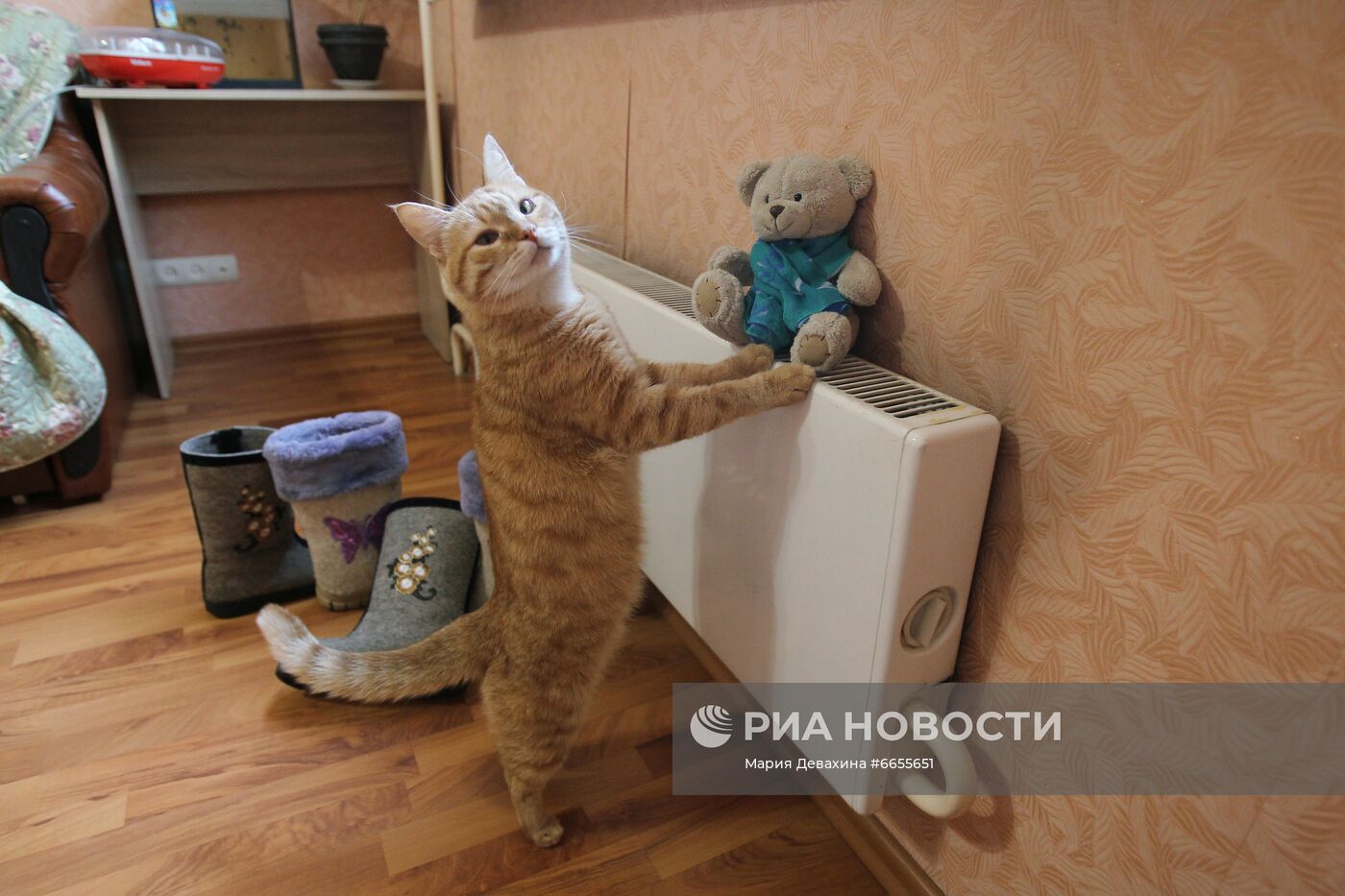 Начало отопительного сезона в Москве