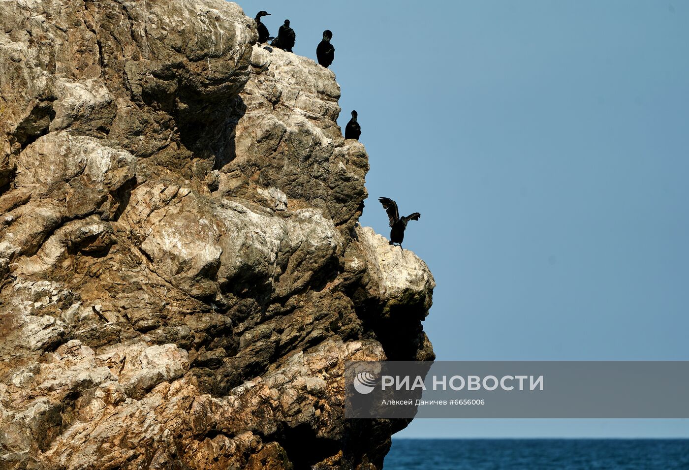 Регионы России. Сахалин