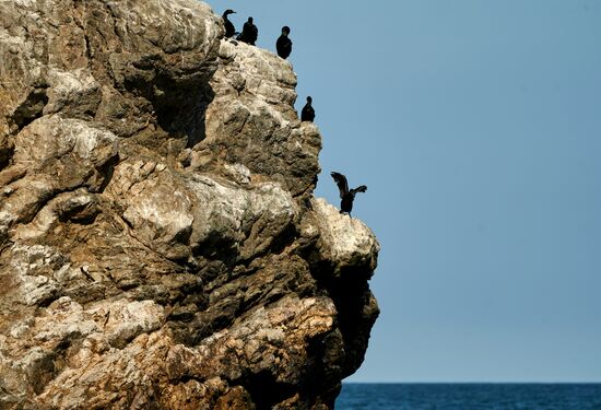 Регионы России. Сахалин