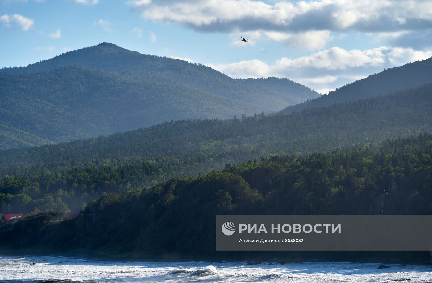 Регионы России. Сахалин