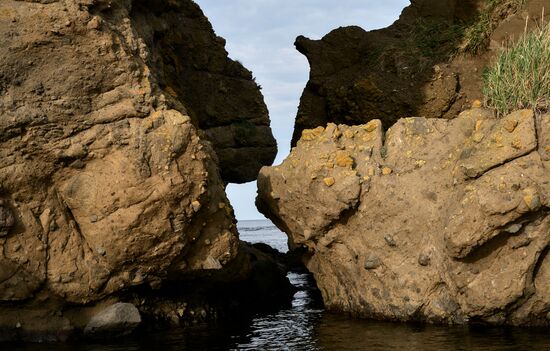 Регионы России. Сахалин