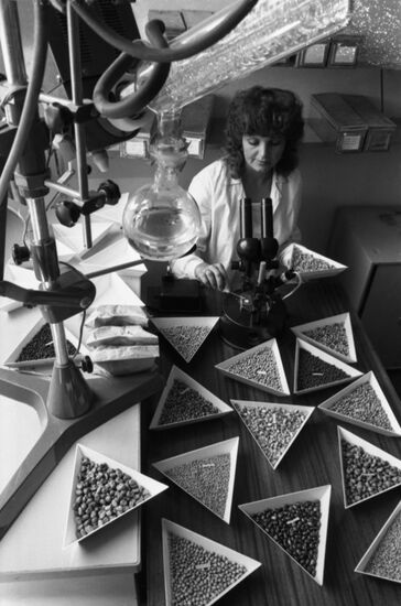 Всесоюзный институт растениеводства