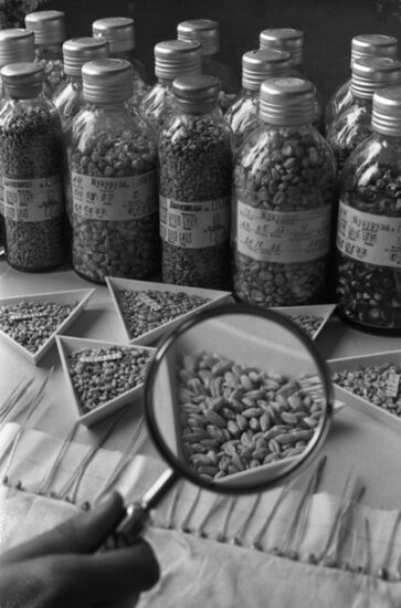 Всесоюзный институт растениеводства