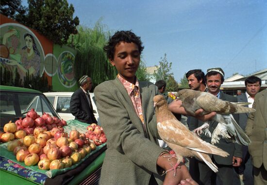 Город Коканд