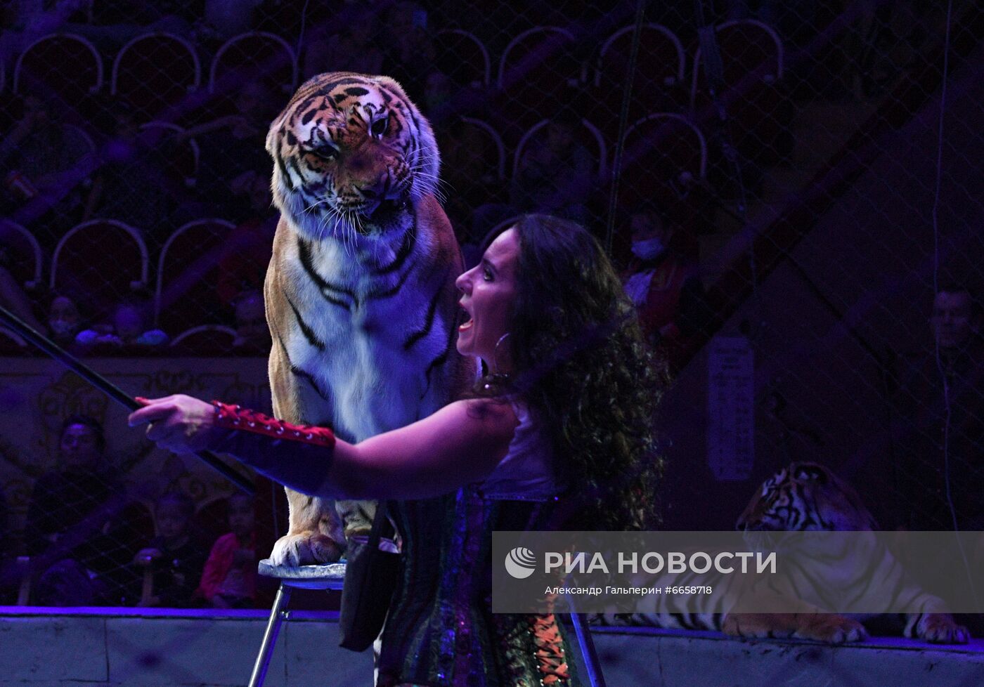 Премьера циркового спектакля "Клоун" в Санкт-Петербурге