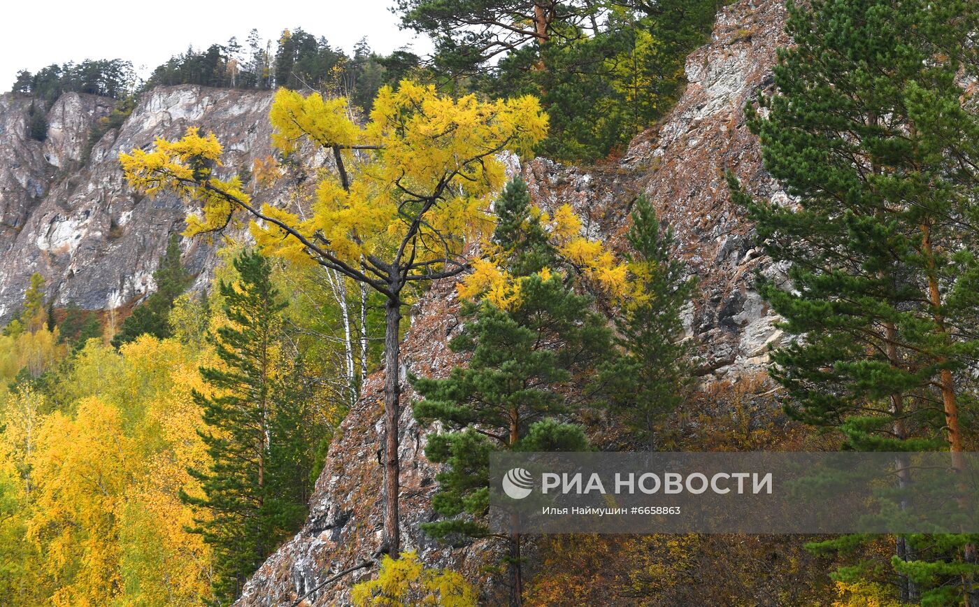 Осень на Енисее