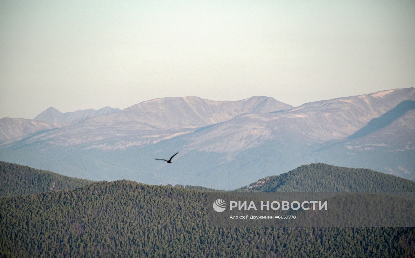 Отдых президента РФ В. Путина в Сибири