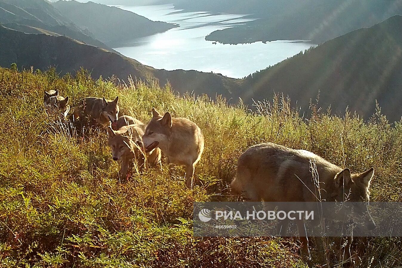 Отдых президента РФ В. Путина в Сибири