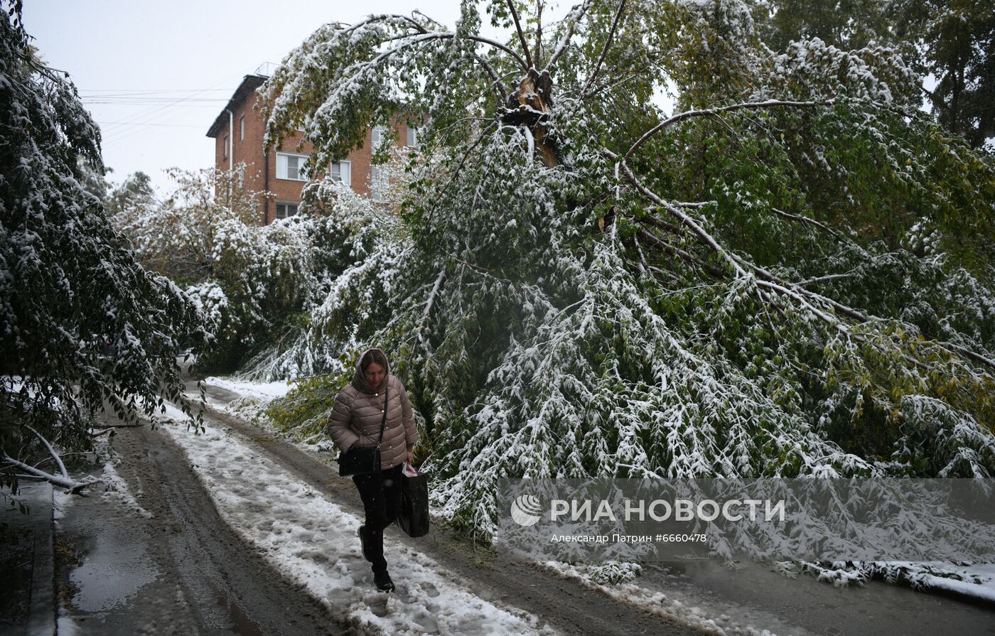 Первый снег в Кемерове