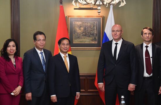 Встреча вице-премьера Д. Чернышенко и главы МИД Вьетнама Б. Шона  
