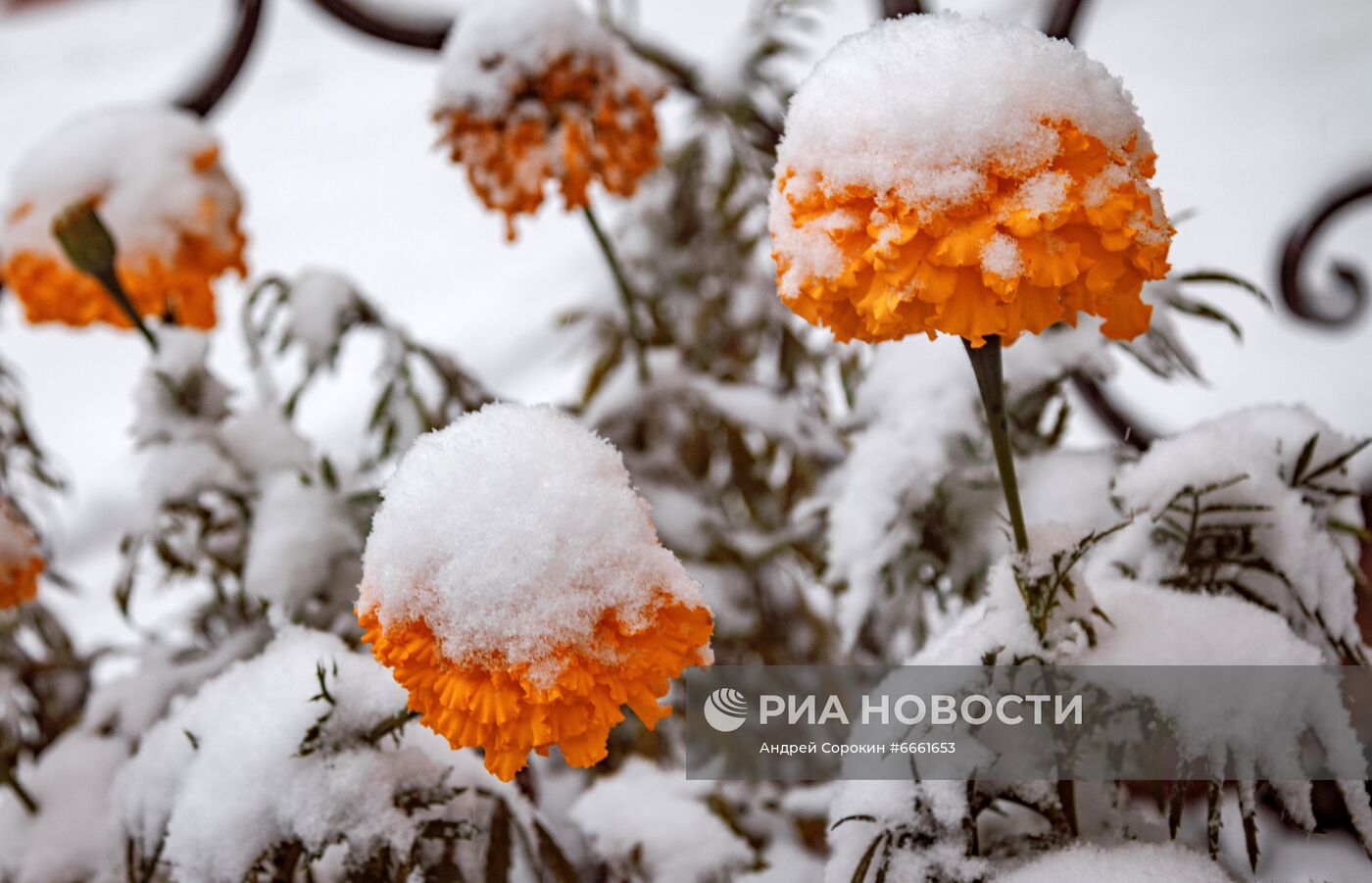 Снегопад в Якутии