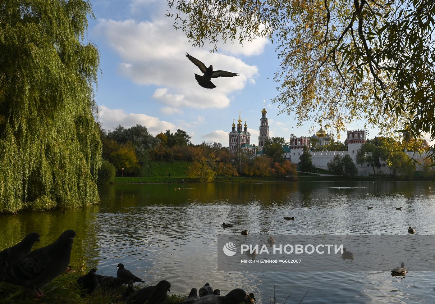 Фото недели