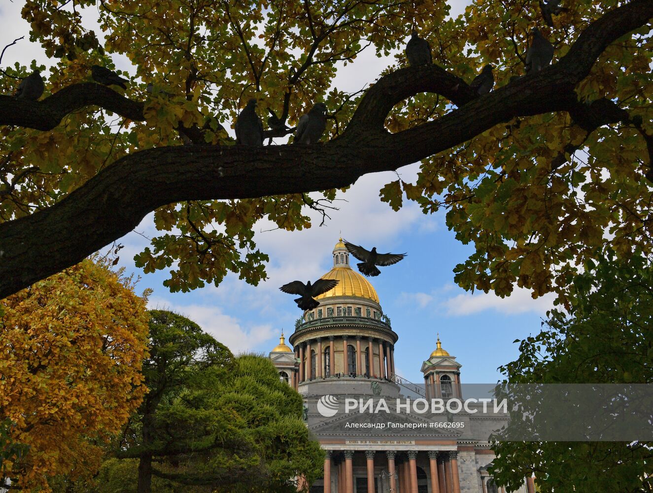 Исаакиевский собор в Санкт-Петербурге, где пройдет венчание потомка династии Романовых