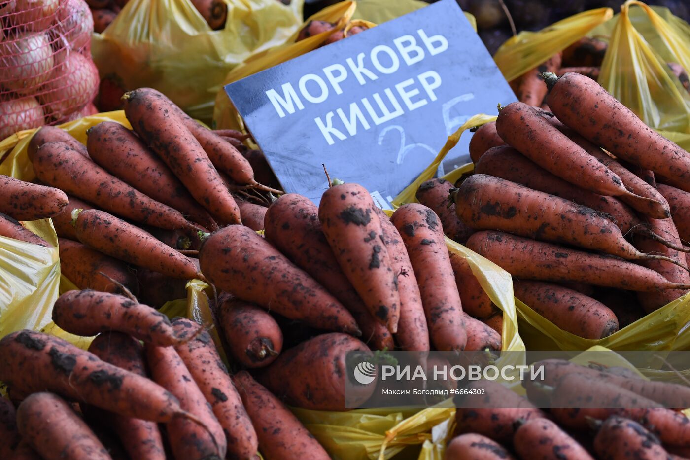 Сельскохозяйственная ярмарка в Казани