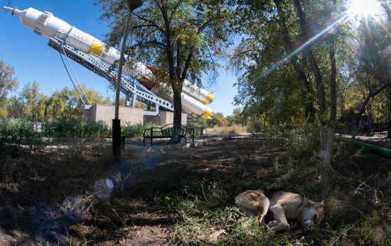 Повседневная жизнь в городе Байконур