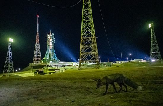 Вывоз ракеты-носителя с ТПК "Союз МС-19" на стартовую площадку