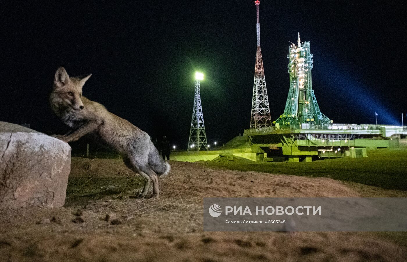 Вывоз ракеты-носителя с ТПК "Союз МС-19" на стартовую площадку