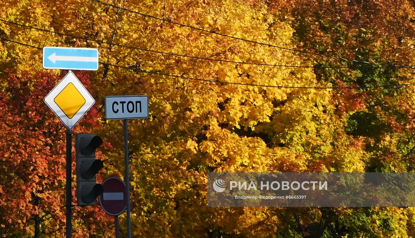 Дорожные знаки на фоне пожелтевших деревьев на Ленинском проспекте в Москве. Место: Россия, Москва. Автор: Владимир Федоренко/РИА Новости. Осень в Москве