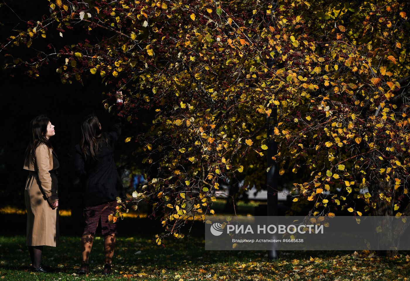 Девушки в Парке искусств Музеон в Москве. Место: Россия, Москва. Автор: Владимир Астапкович/РИА Новости. Осень в Москве
