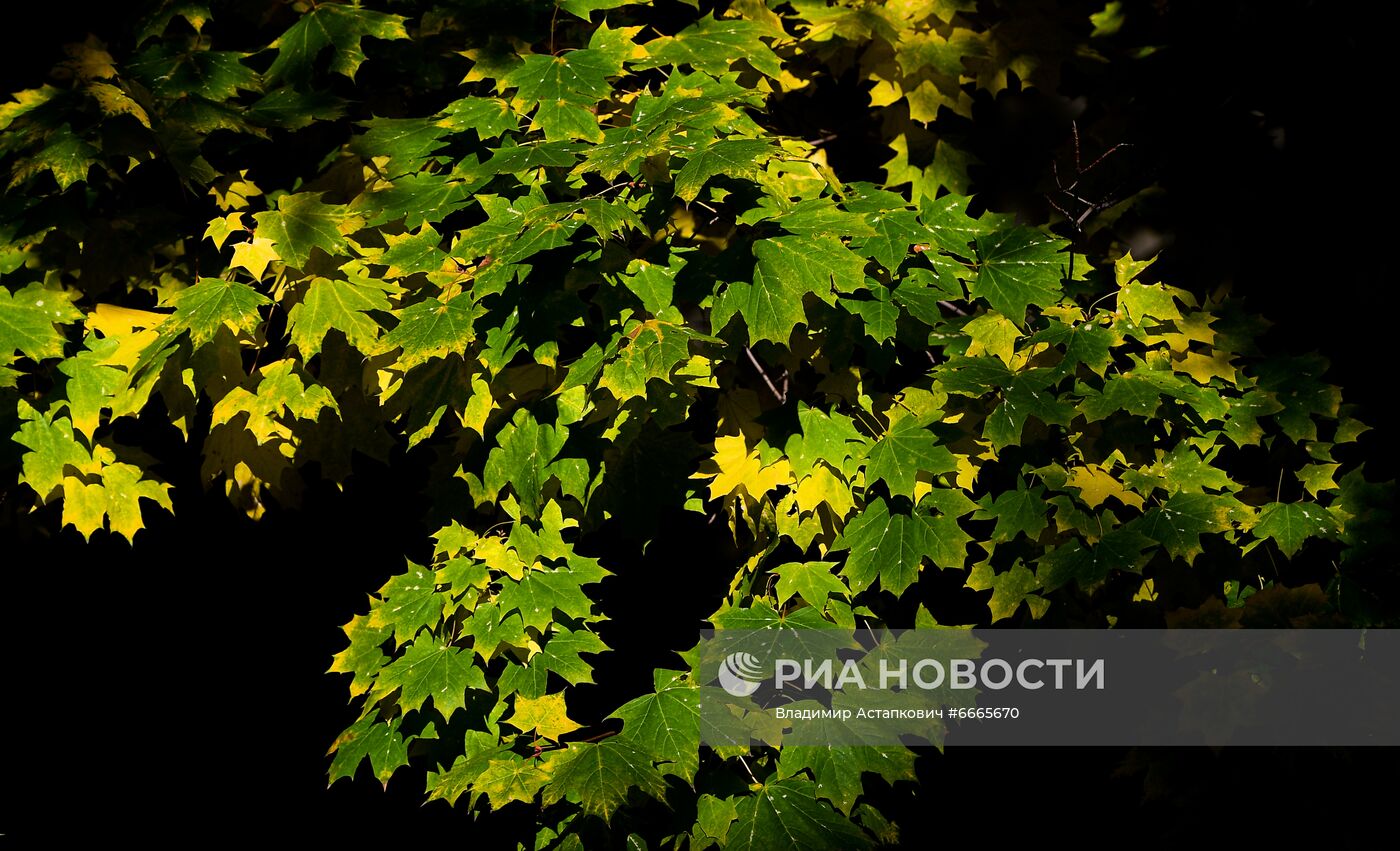 Осень в Москве