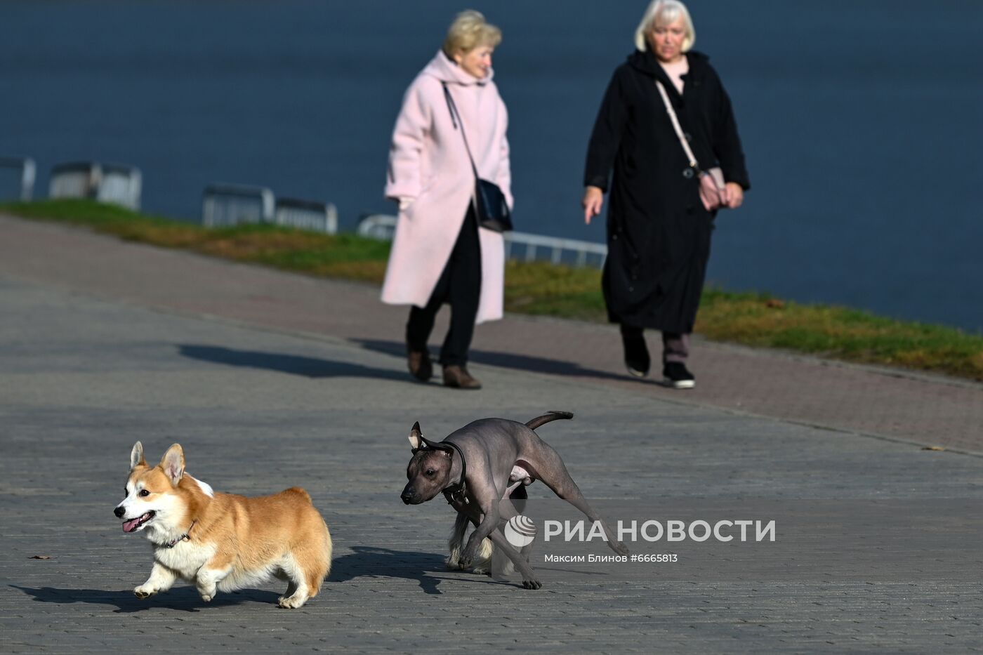 Осень в Москве