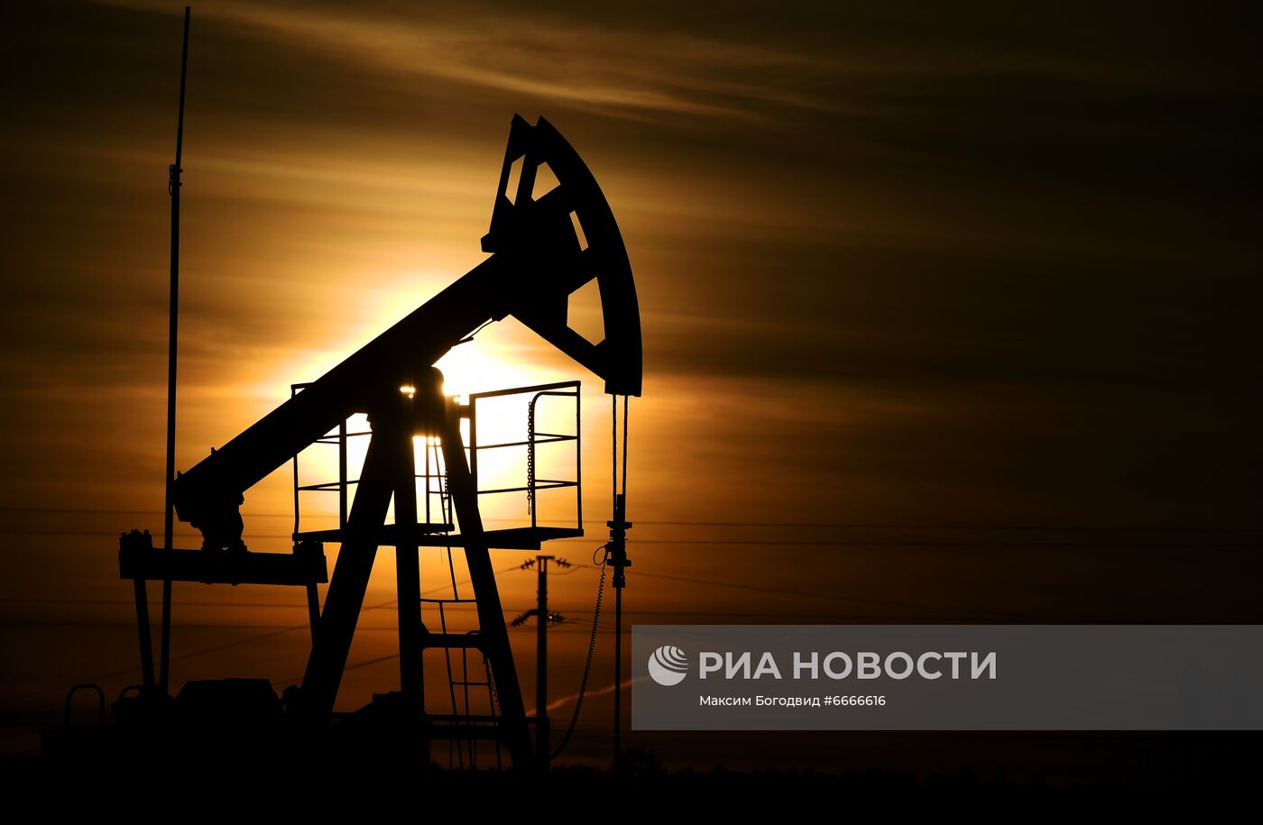 ФОТО НЕДЕЛИ