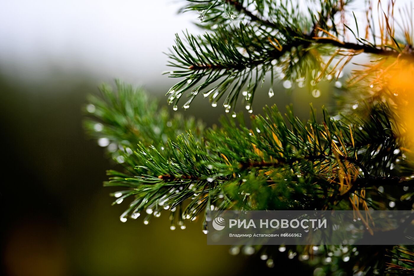 #ОткрываяРоссию. Екатеринбург