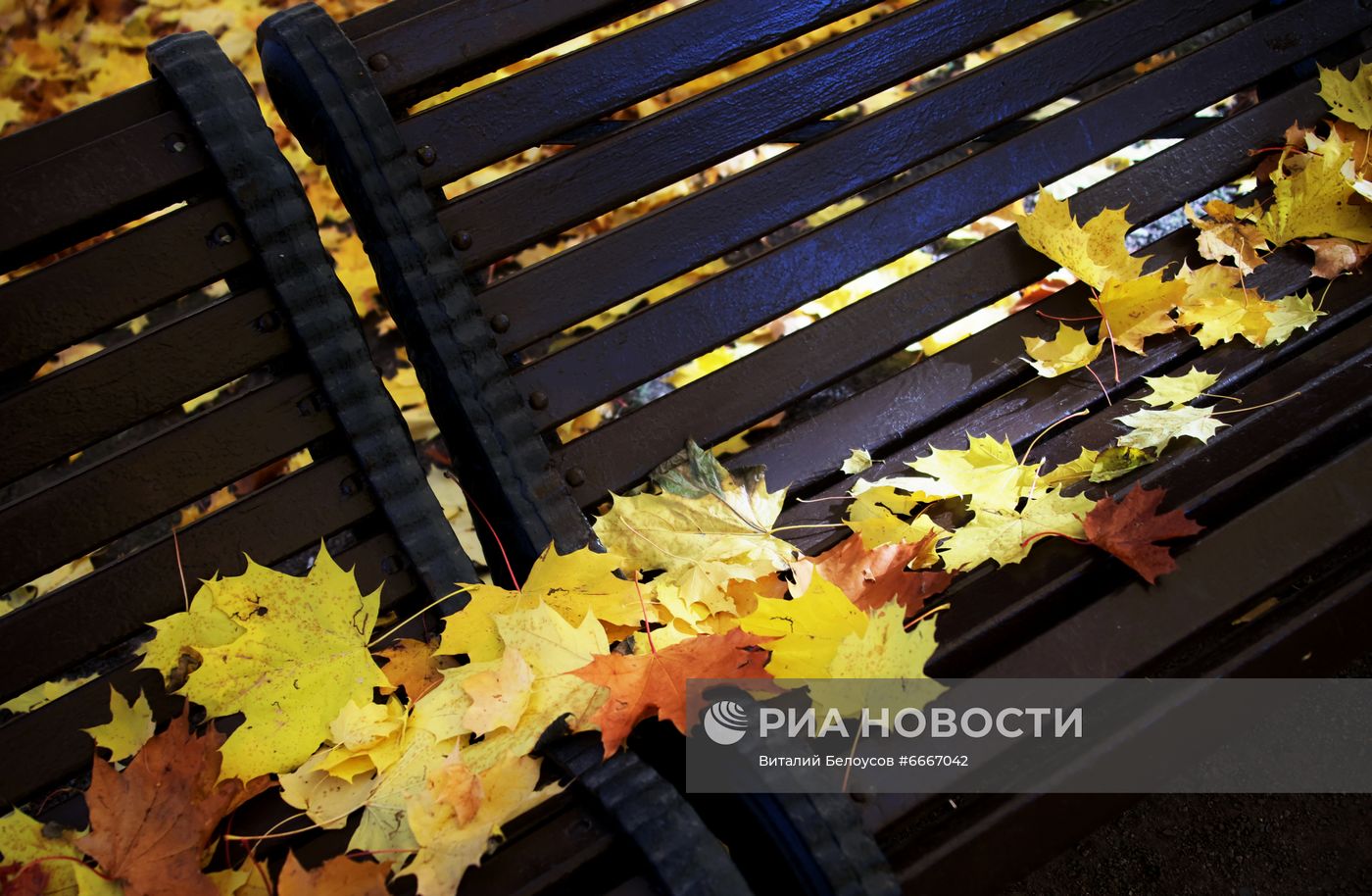 Осень в Москве