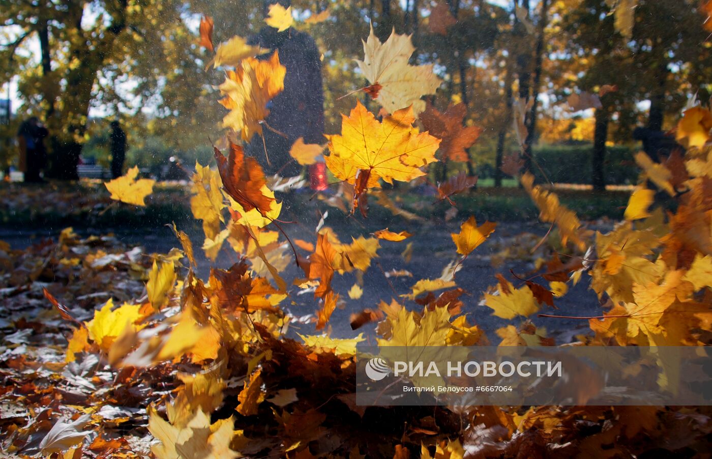 Парк "Коломенское" в Москве. Место: Россия, Москва. Автор: Виталий Белоусов/РИА Новости. Осень в Москве