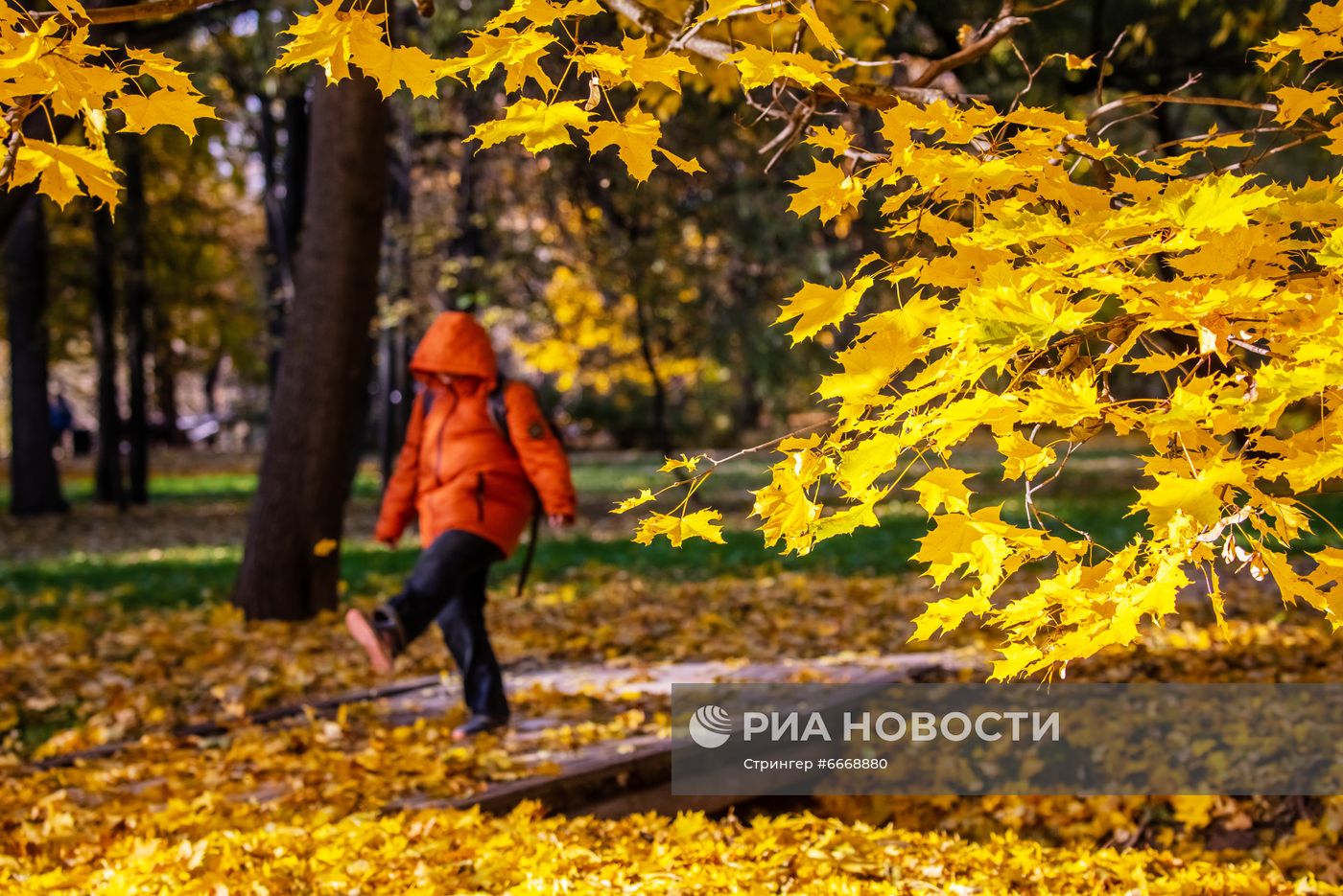 Осень в Москве