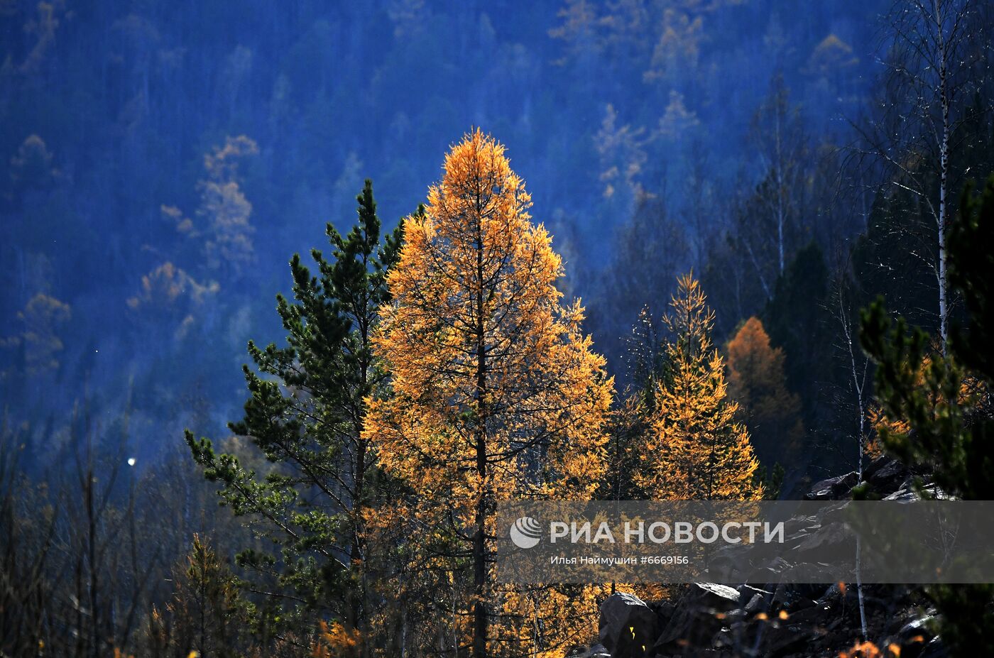 Осень в Красноярском крае