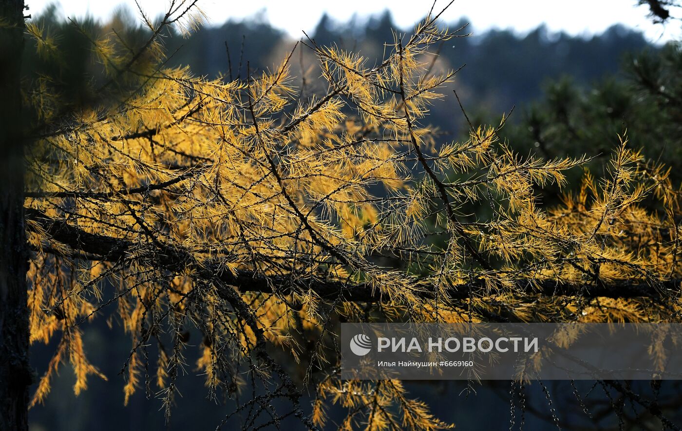 Осень в Красноярском крае