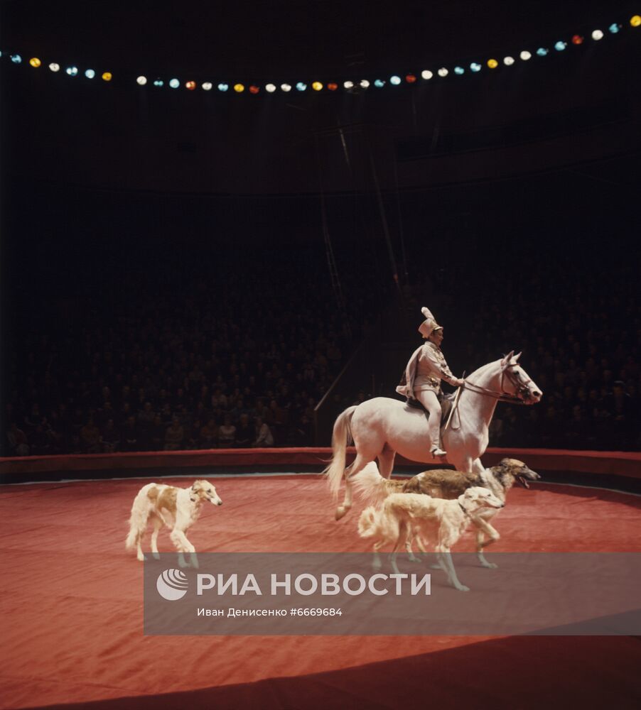 Открытие нового цирка на проспекте Вернадского