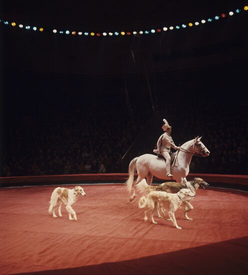 Открытие нового цирка на проспекте Вернадского