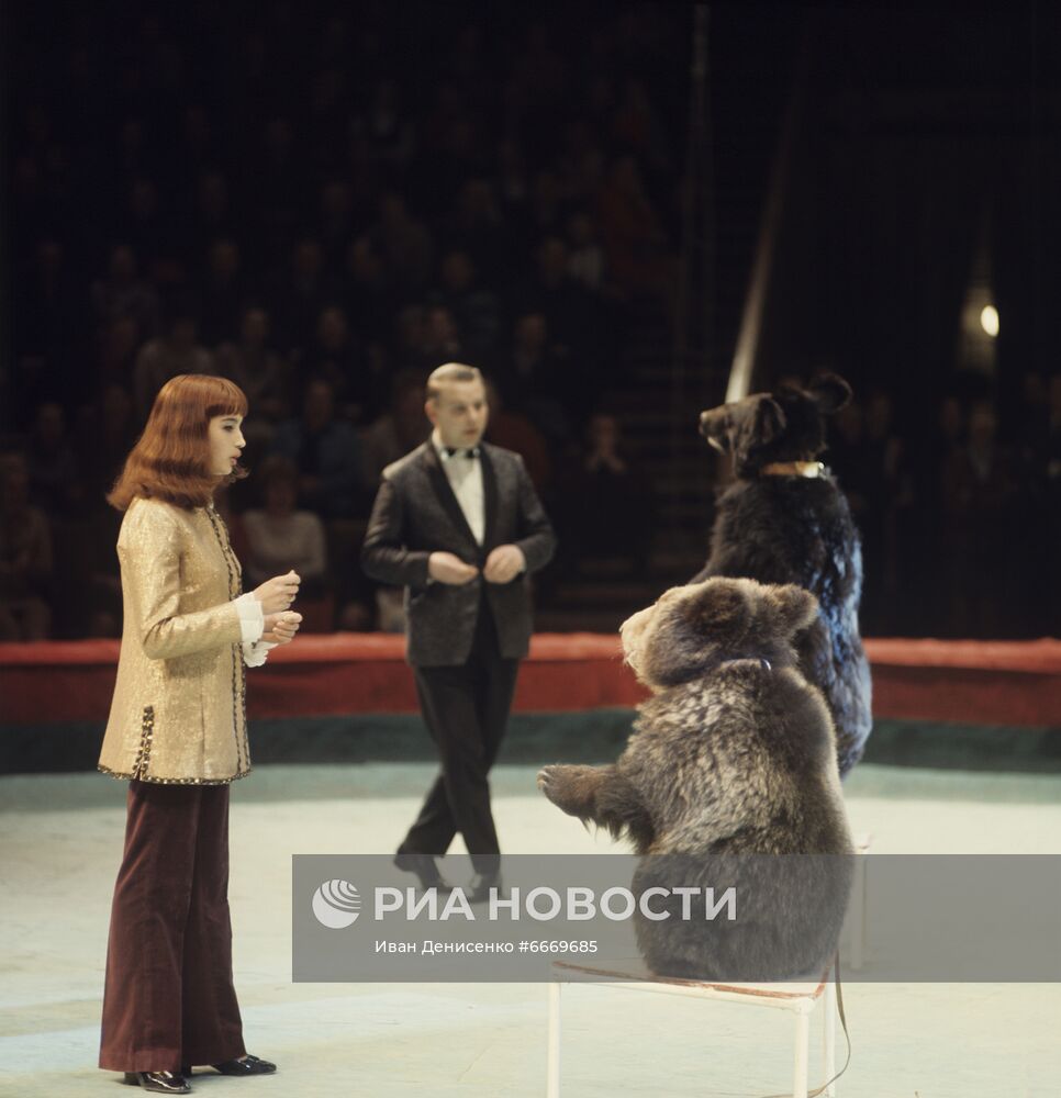 Открытие нового цирка на проспекте Вернадского